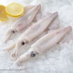 db83-FROZEN SQUID 3-6-0-1-500x500